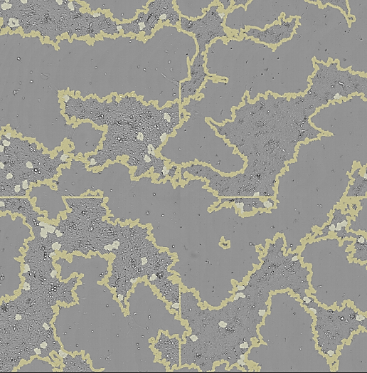 viral_plaque_assay.png viral_plaque_assay.png