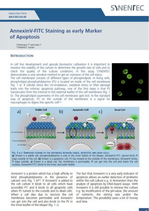 Annexine V, phosphatidylserine, Apoptosis, NYONE