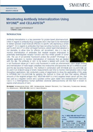 Internalization Assay, ADC, Internalization, Antibody Discovery, Cancer Research, Cell Confluence, Fluorescence Imaging, Cell Morphology, MDA-MB-468, Caco-2