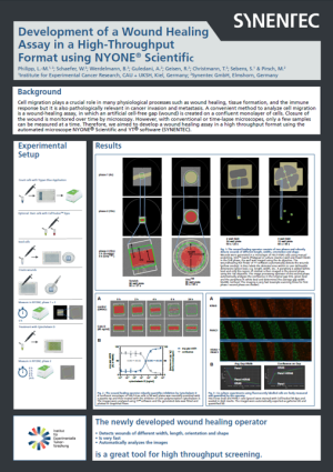 Multimodal HTS Wound healing assay