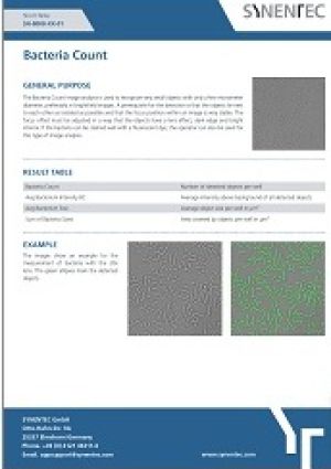 Bacteria Count