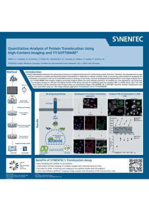 Translocation assay (HCS)