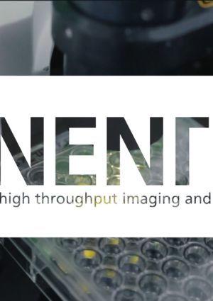 This video nicely demonstrates how simple this "add-no-wash" caspase assay is for automation and high-throughput screening. Using SYNENTEC GmbH's imagers, the SPY650-DNA (Spirochrome) and the CellEvent™ Caspase-3/7 Green Detection Reagent (Thermo Fisher Scientific), we were able to analyze the cytotoxic/apoptotic effects of drugs over time. And take a look how comprehensive, simple, and seamless image analysis can be with YT-software!