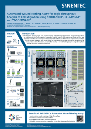 Wound healing cell migration using Cytochalasin B
