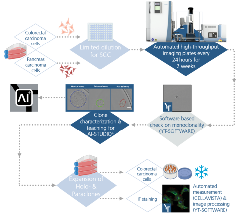 Example assay setup for automation