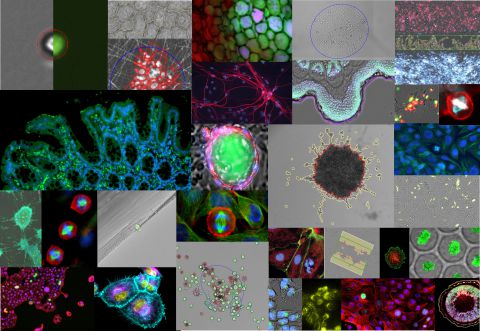 SYNENTEC_Application Portfolio